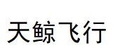 天鲸（南宁）航空器制造有限公司